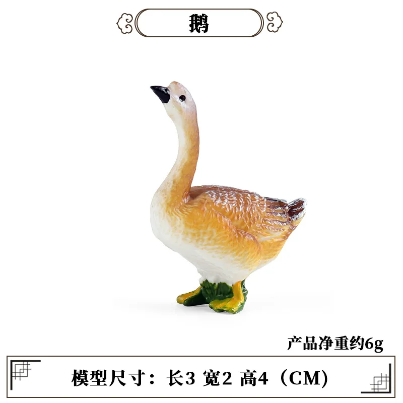 Science Toys - Herramienta de enseñanza educativa para aves