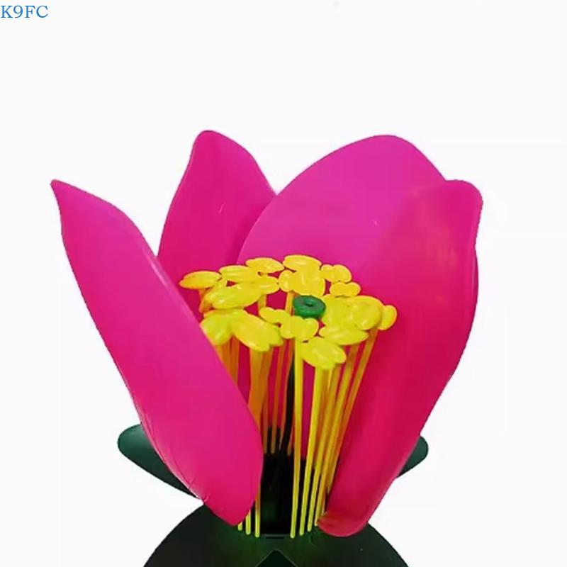 Modelo enseñanza plantas reali - Science Exhibition Models reseña y precio