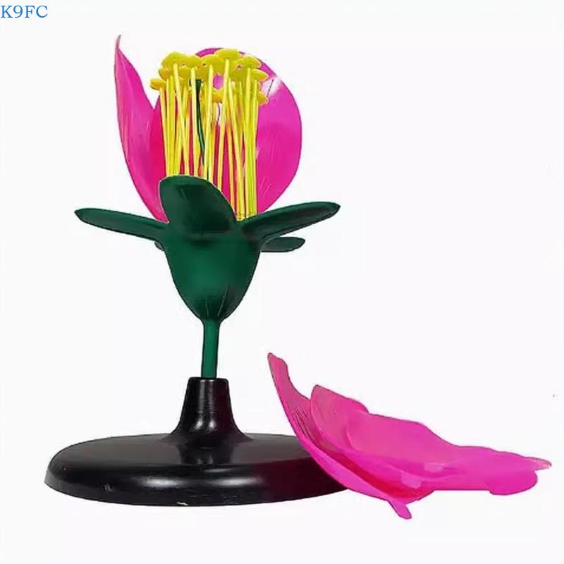 Modelo enseñanza plantas reali - Science Exhibition Models reseña y precio