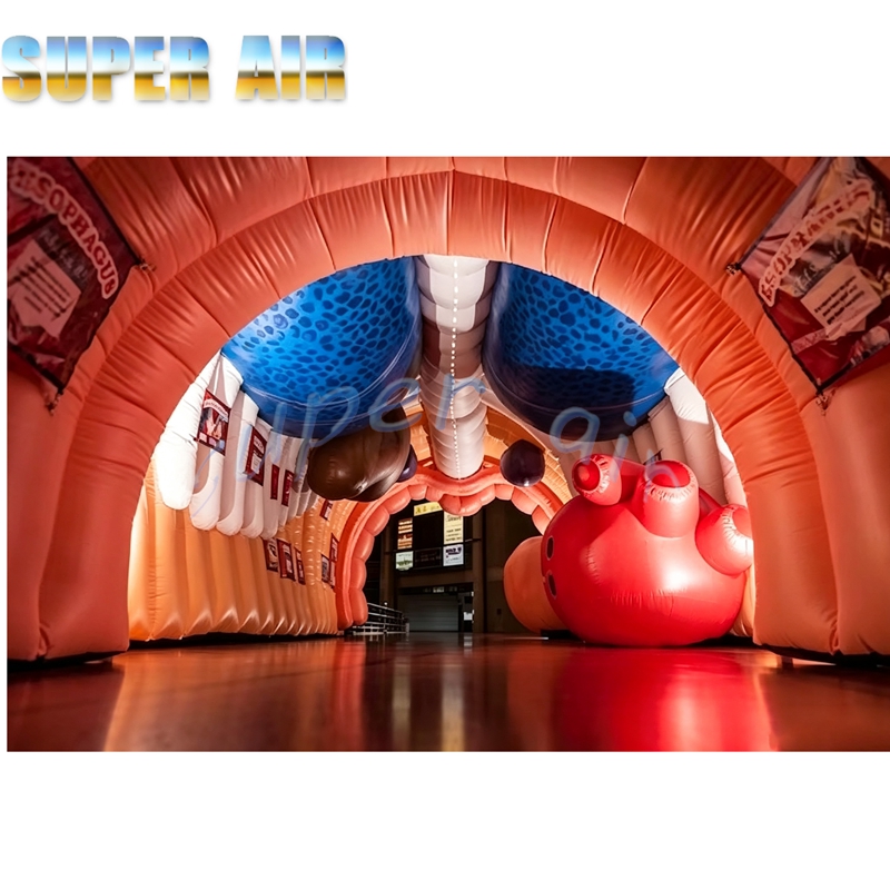 Modelo Inflable Gigante del Cu - Science Exhibition Models reseña y precio