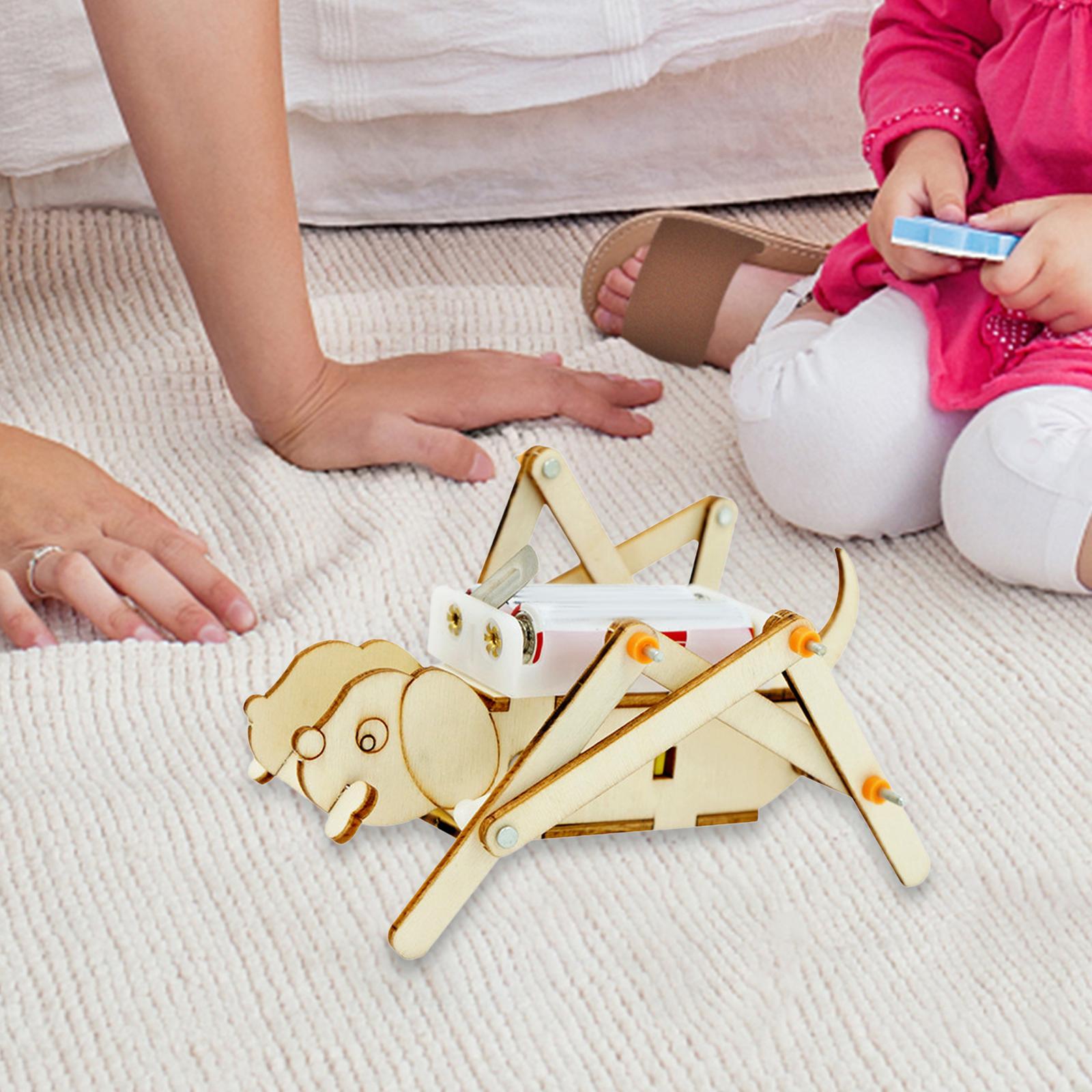 Kit de Ciencia para Construir  - Science Project Toys Making reseña y precio