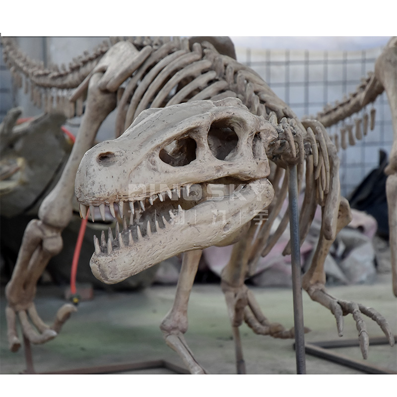 Modelo de Esqueleto de Dinosau - Science Exhibition Models reseña y precio