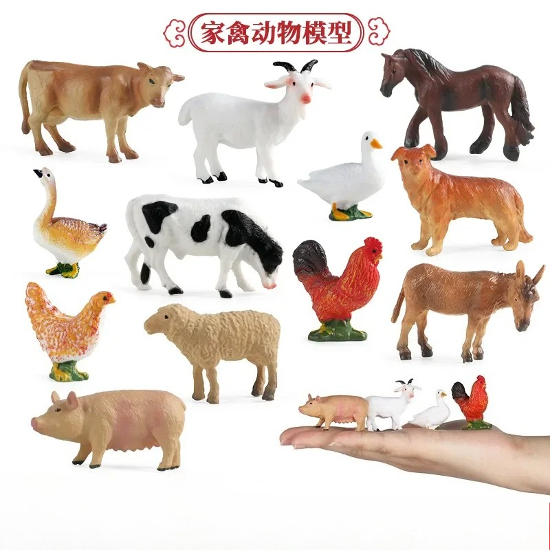 Herramienta de enseñanza educa - Science Toys reseña y precio