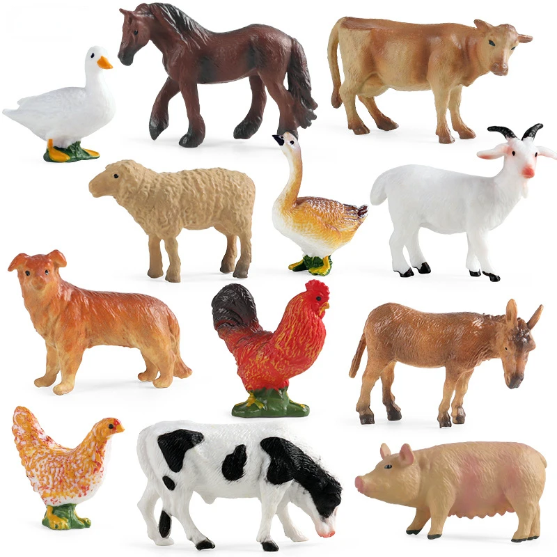 Herramienta de enseñanza educa - Science Toys reseña y precio