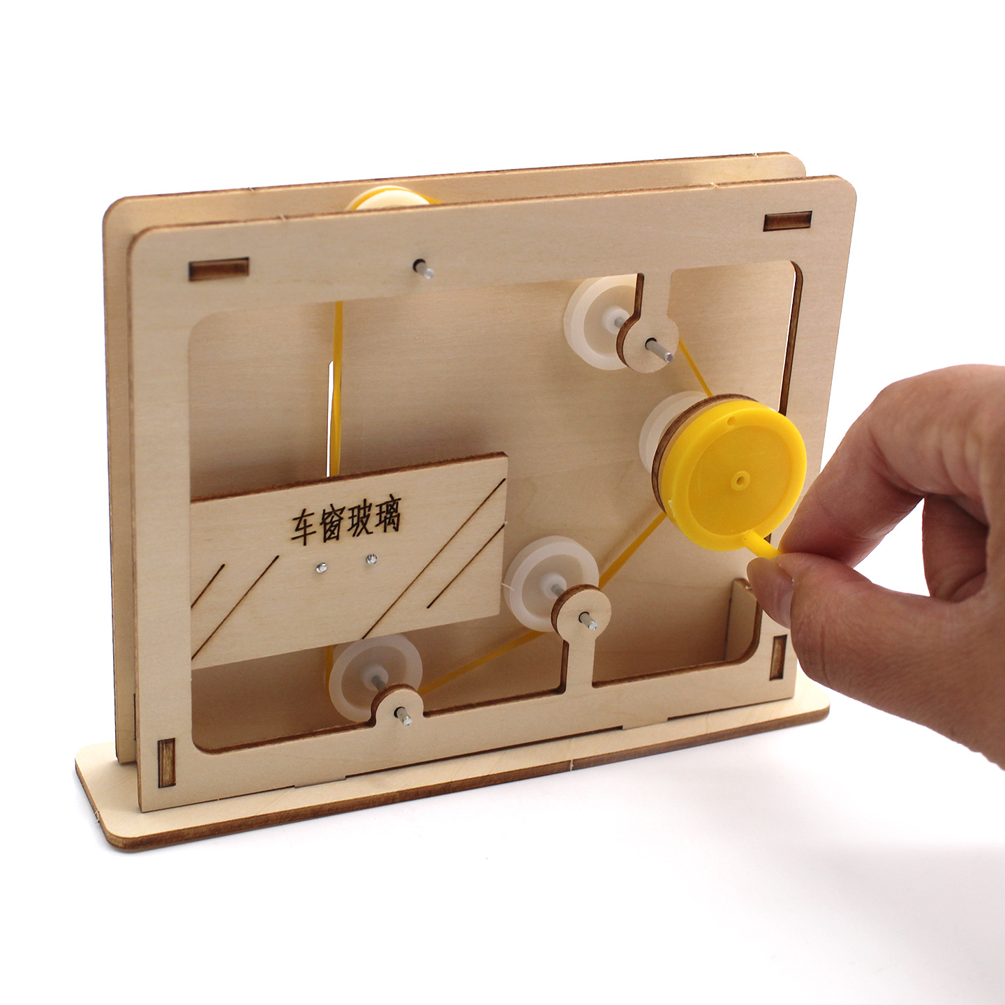 Modelo educativo de cuerda y p - Science Diy Model reseña y precio