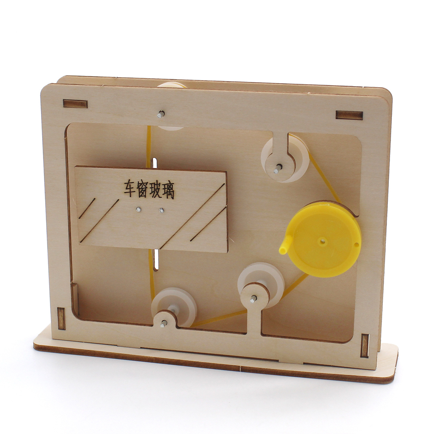 Modelo educativo de cuerda y p - Science Diy Model reseña y precio